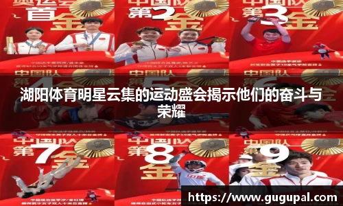 湖阳体育明星云集的运动盛会揭示他们的奋斗与荣耀