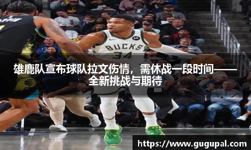 雄鹿队宣布球队拉文伤情，需休战一段时间——全新挑战与期待