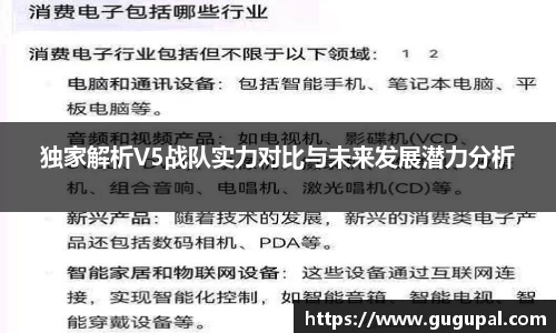 独家解析V5战队实力对比与未来发展潜力分析