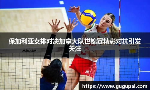 JJB竞技宝官网
