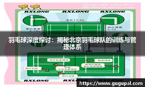 羽毛球深度探讨：揭秘北京羽毛球队的训练与管理体系