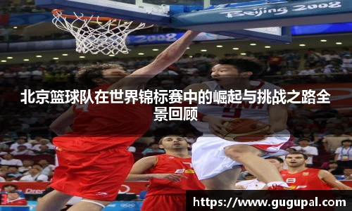 JJB竞技宝官网