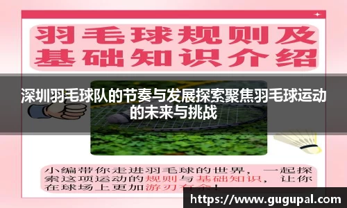 深圳羽毛球队的节奏与发展探索聚焦羽毛球运动的未来与挑战