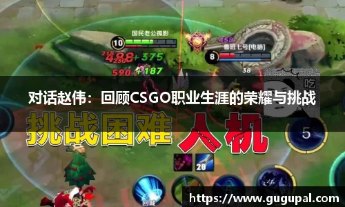 对话赵伟：回顾CSGO职业生涯的荣耀与挑战
